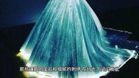 杨幂IVH高定造型惊艳亮相,展现非凡时尚魅力