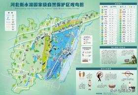 湖城踏青线路大放送,带你深度领略满屏春色!