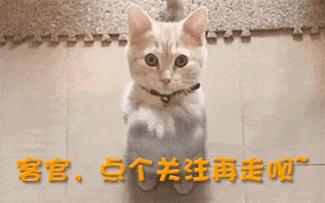 葛夕清醒拒下车,留几手贴脸胡彦斌揭露爽儿歹毒心思